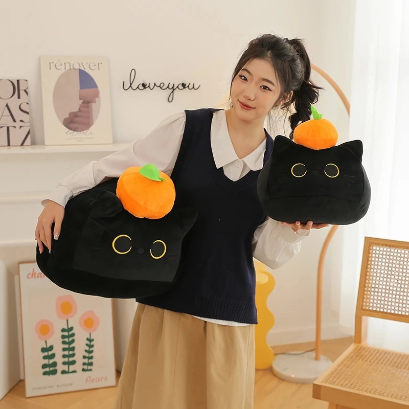 40cm55cm