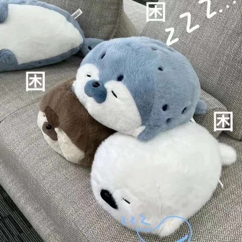 40cm65cm