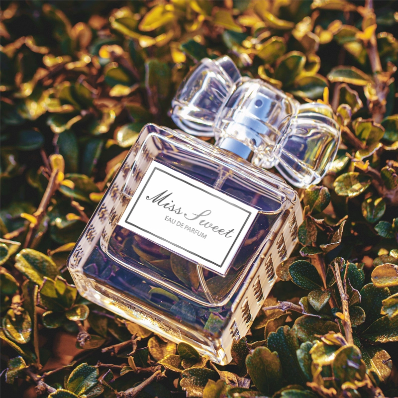 ODDIS EDP