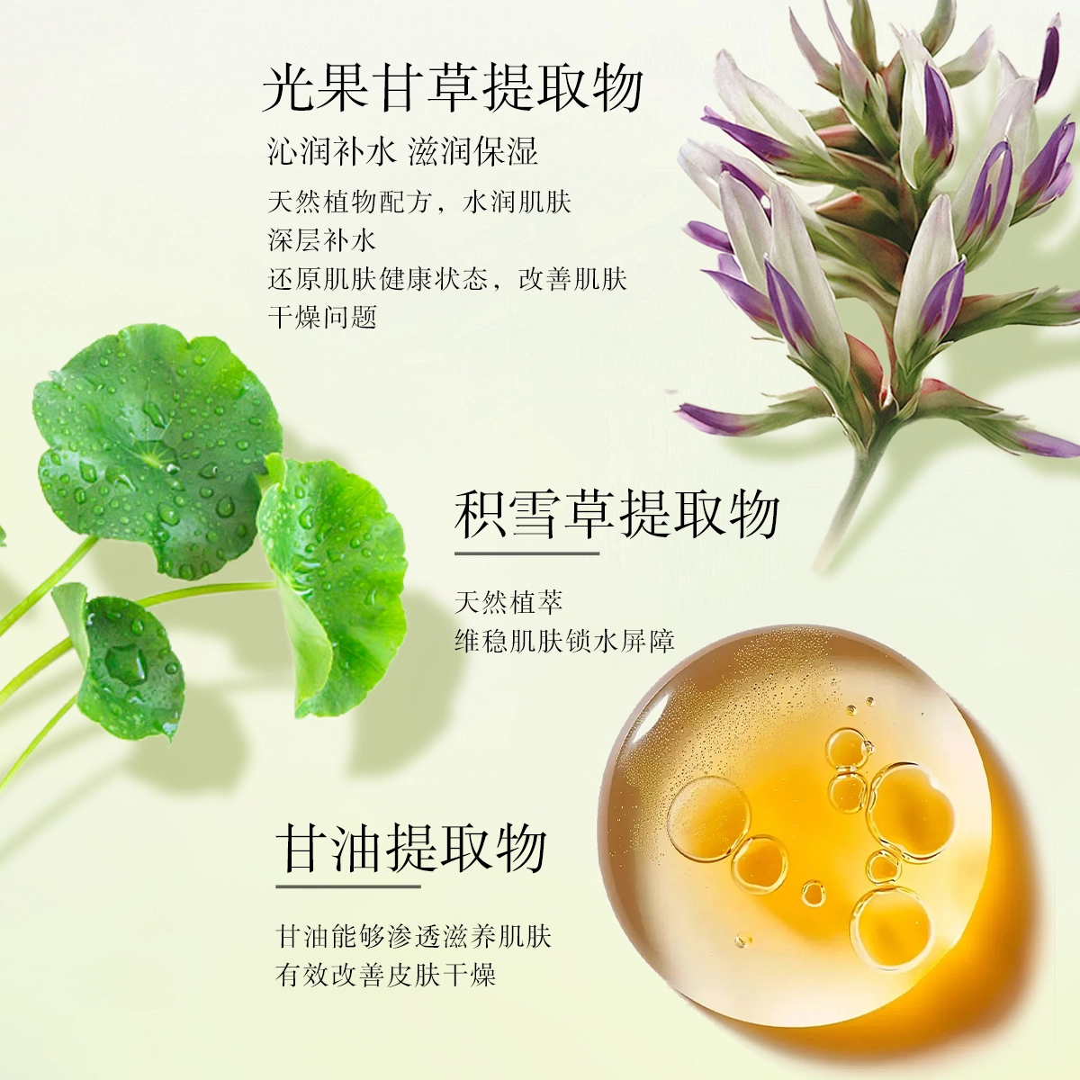 25ml