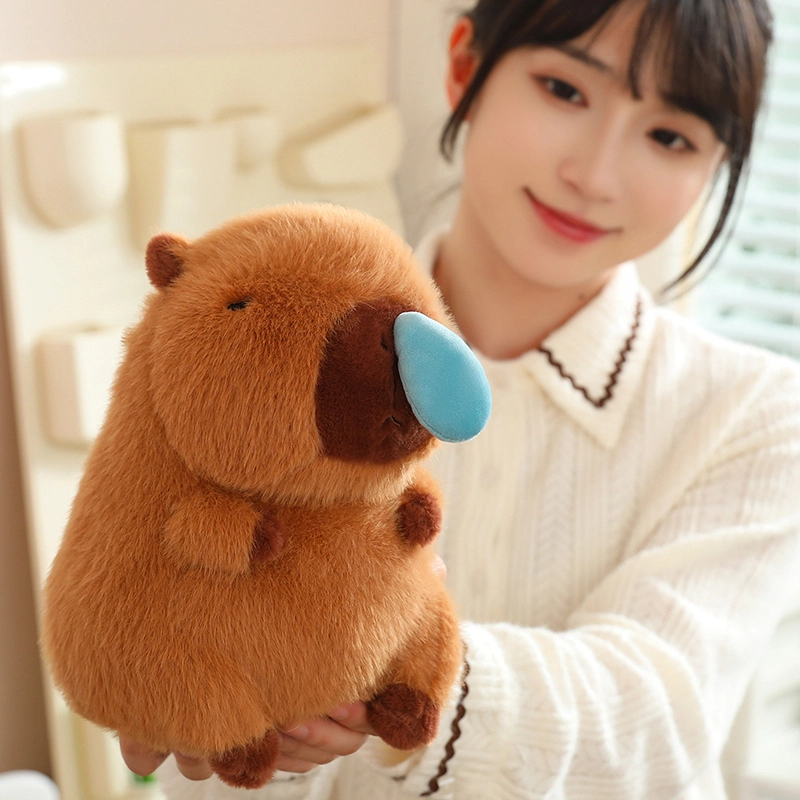 22cm33cm