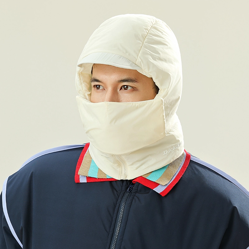 Dickies logo