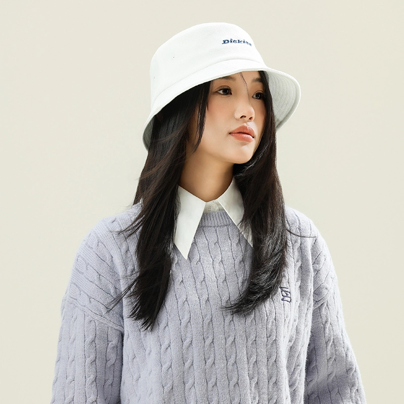 Dickies LOGO