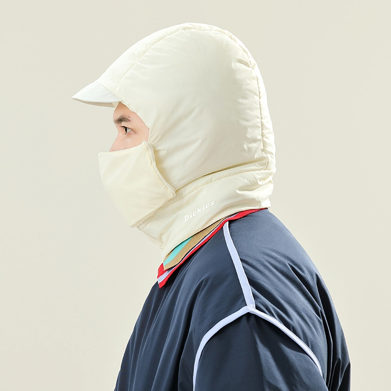 Dickies logo