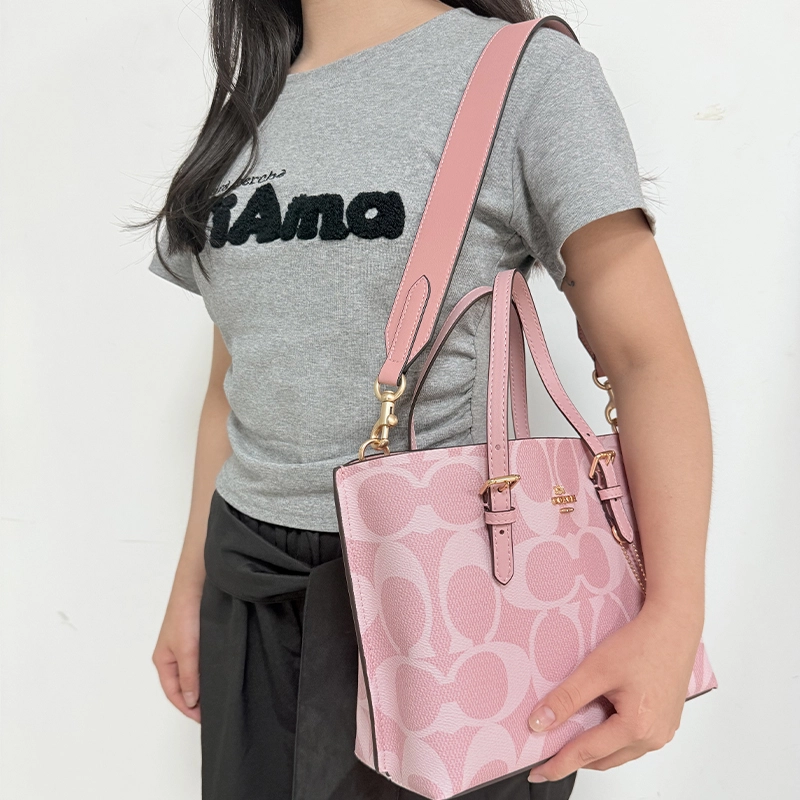 COACH Mollie 25 Tote