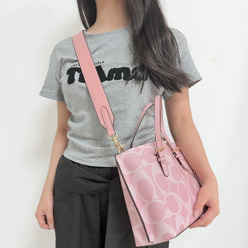 COACH Mollie 25 Tote