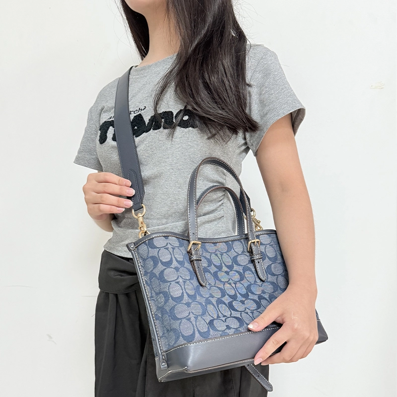 COACH Mollie 25 Tote