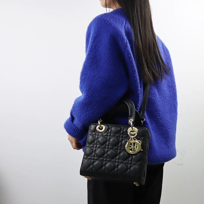 DIOR Lady Dior diy