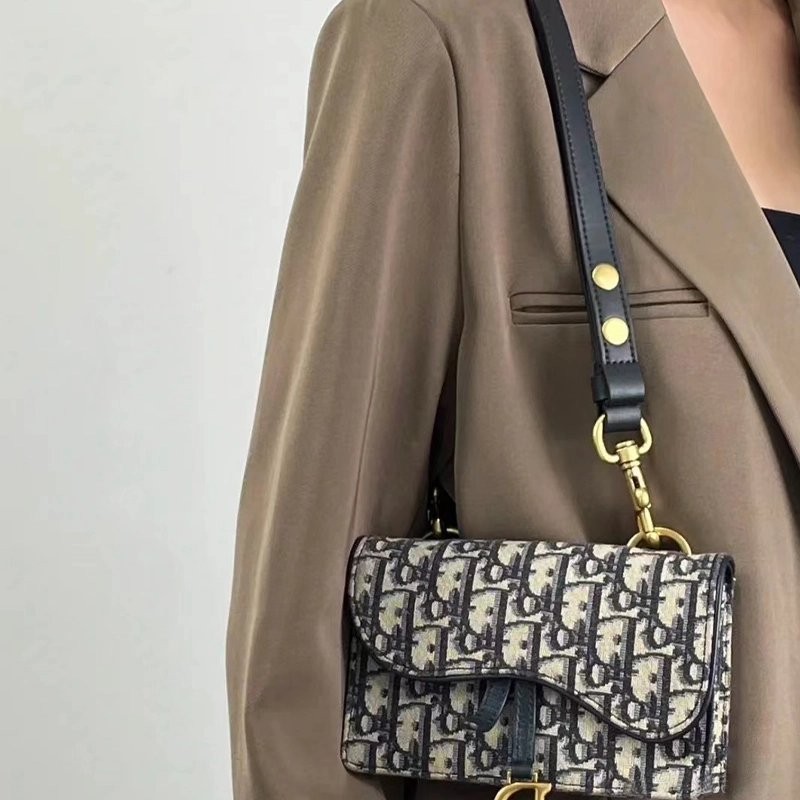 DIOR Saddle Oblique diy
