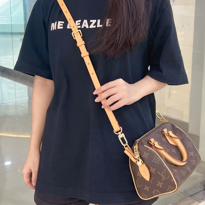 LOUIS VUITTON Speedy 20 diy