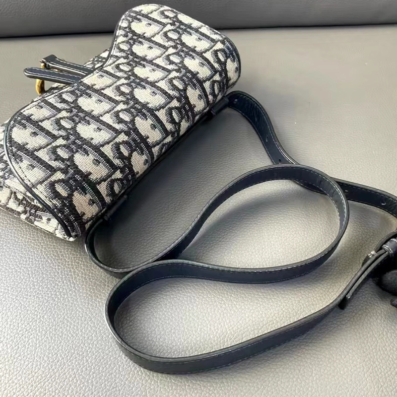 DIOR Saddle Oblique diy
