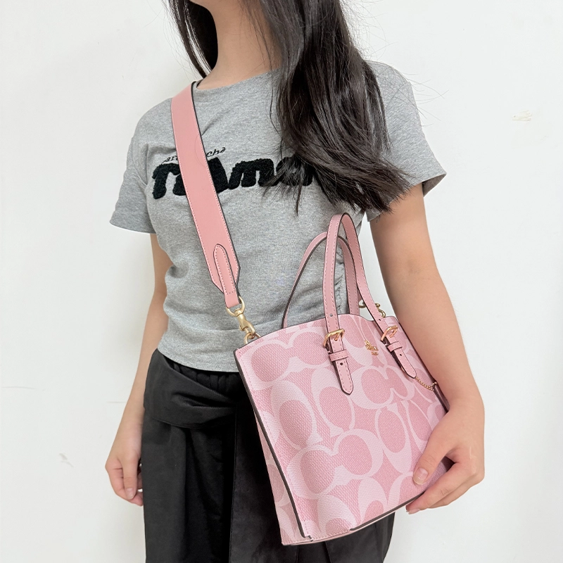 COACH Mollie 25 Tote
