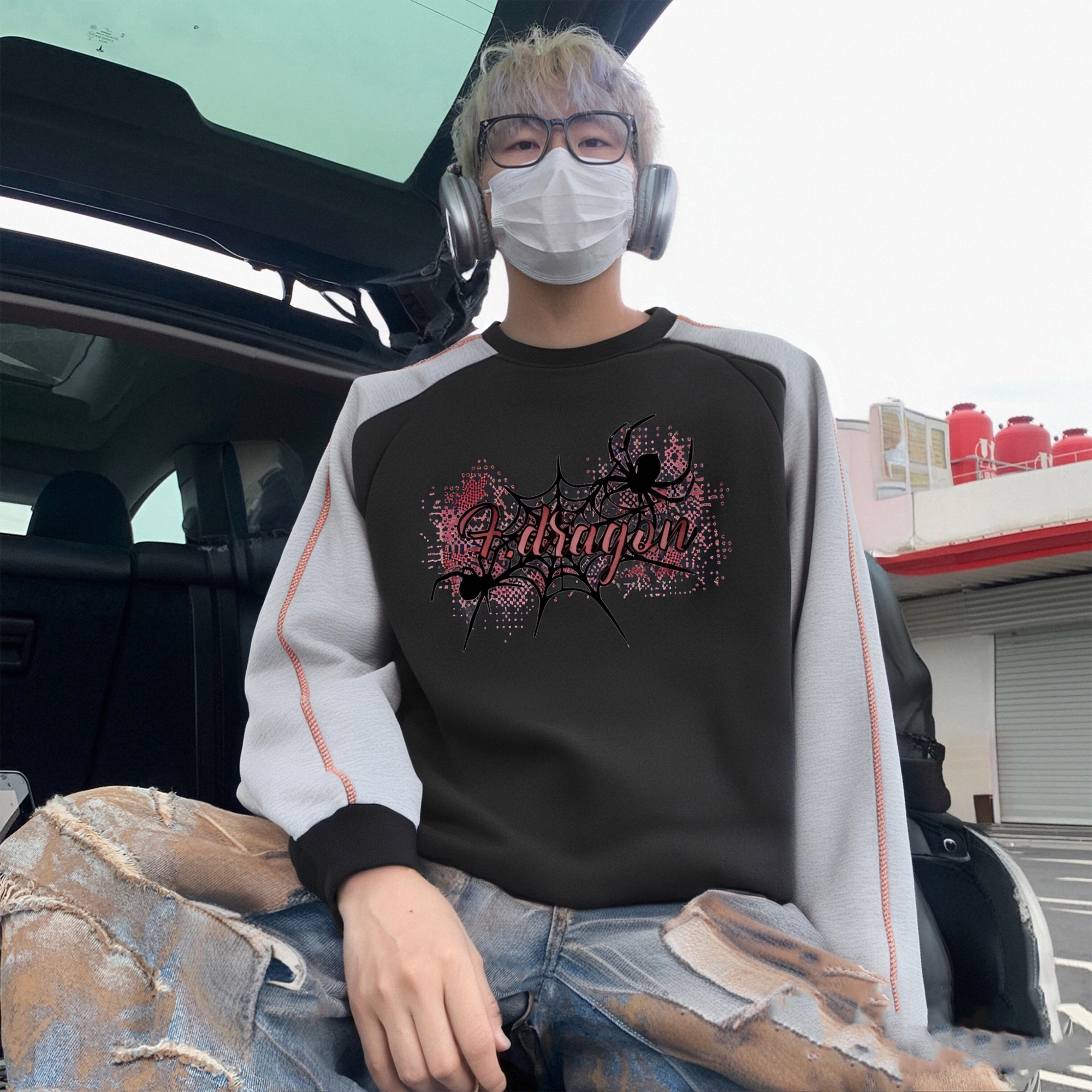 fdragon ins