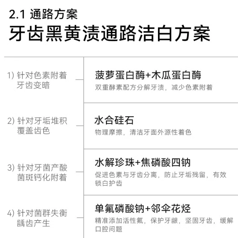 哈恩 德国 哈恩双重酵素牙膏去牙渍洁白含氟防蛀咖啡因洗发水露男士女洗头膏控油蓬松去屑口腔护理套装 去牙渍清新口气清洁防蛀护齿