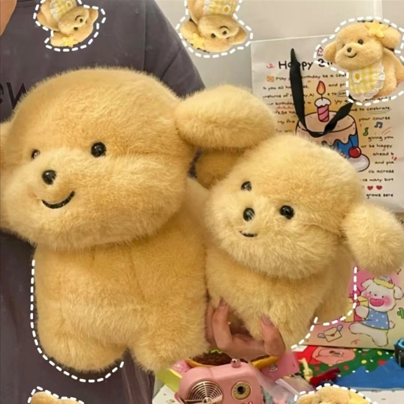 20cm30cm