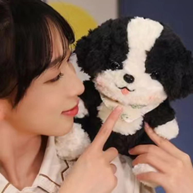 23cm