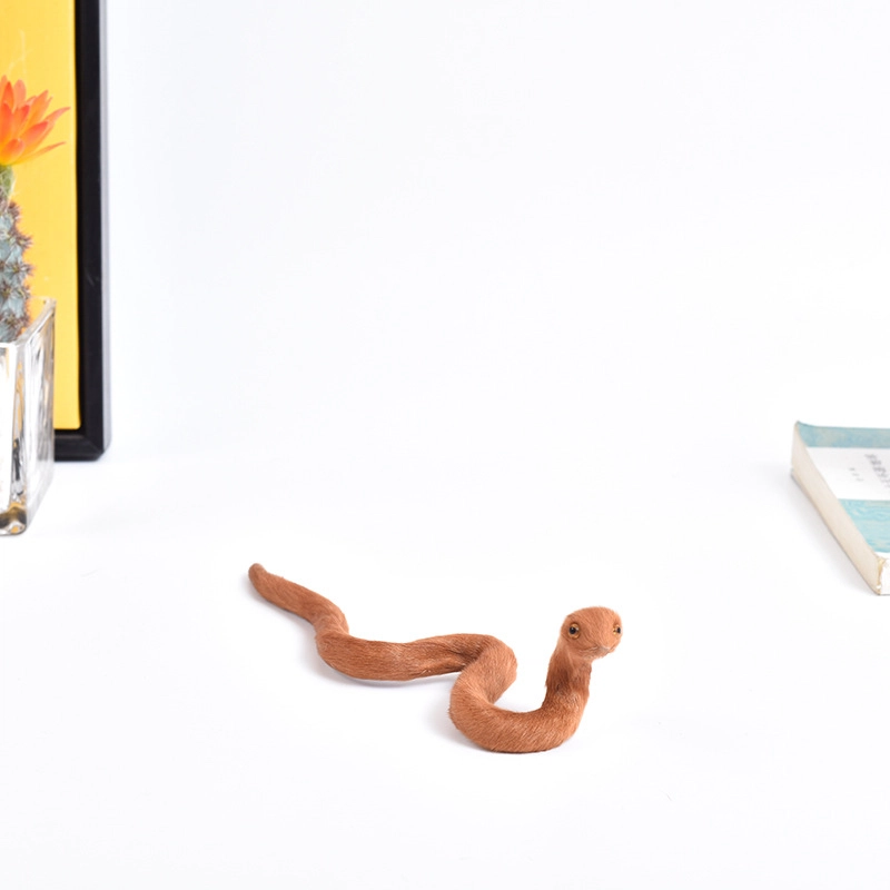 26cm