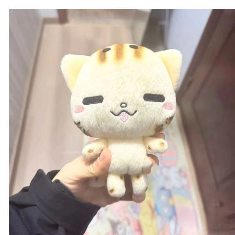 15cm