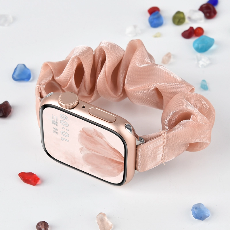 Apple Watch S10S9S8S7SEUltra12