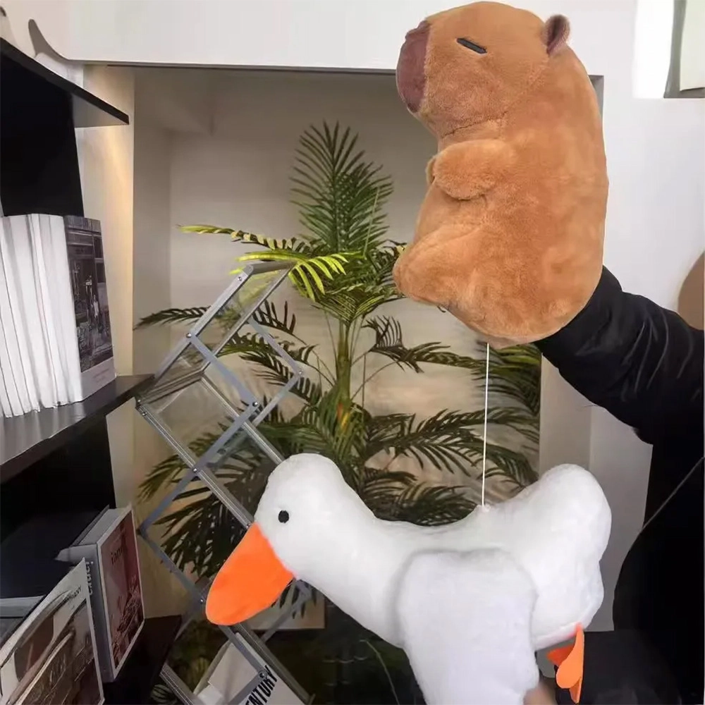 25cm35m45cm