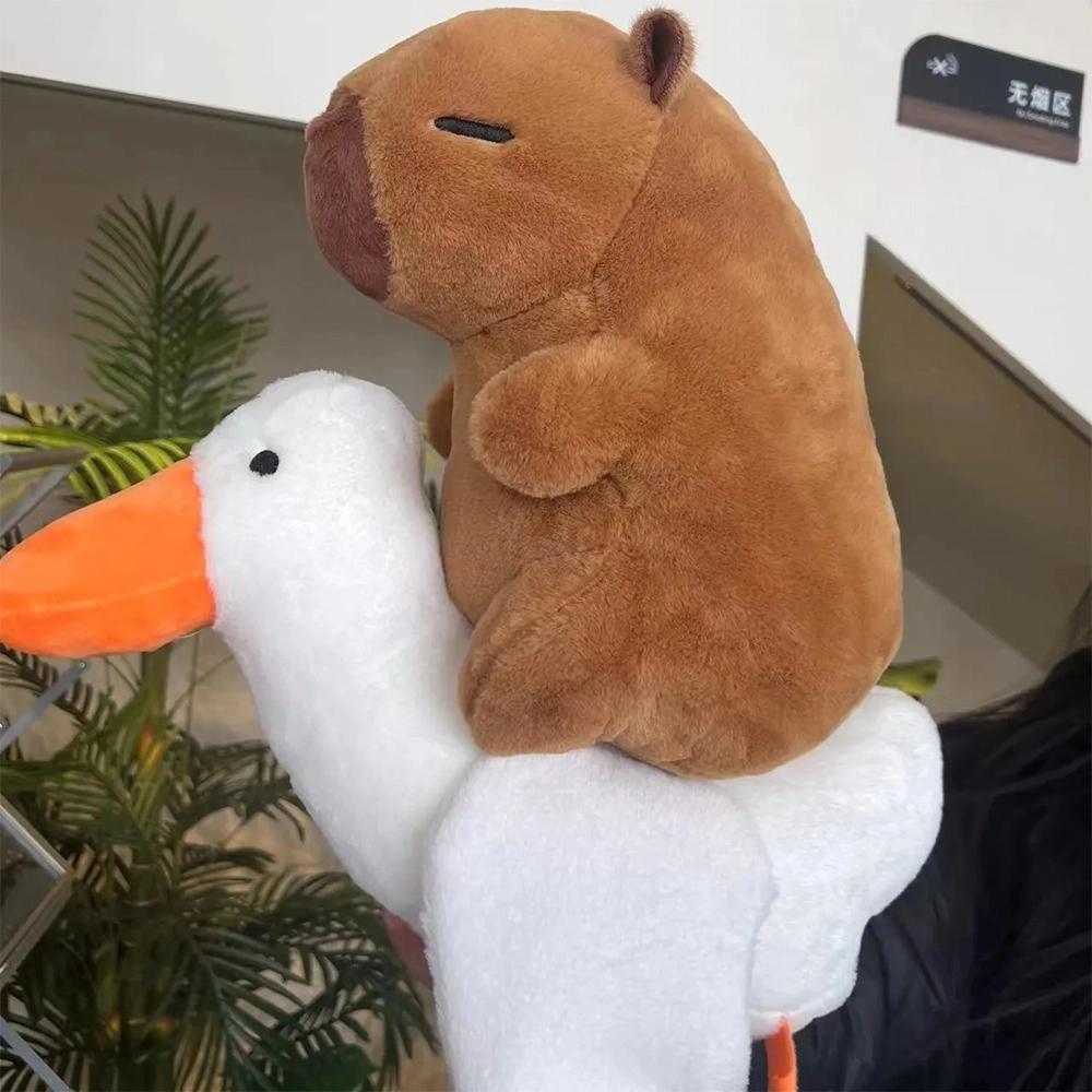 25cm35m45cm