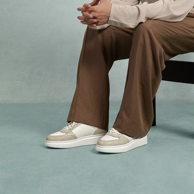 THOM WILLS Trainer