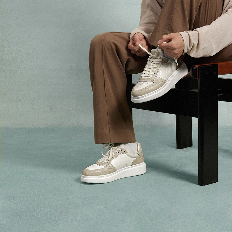 THOM WILLS Trainer