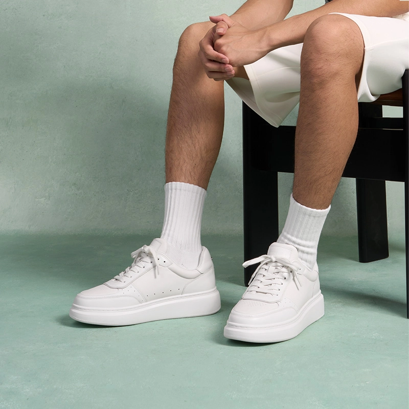 THOM WILLS trainer