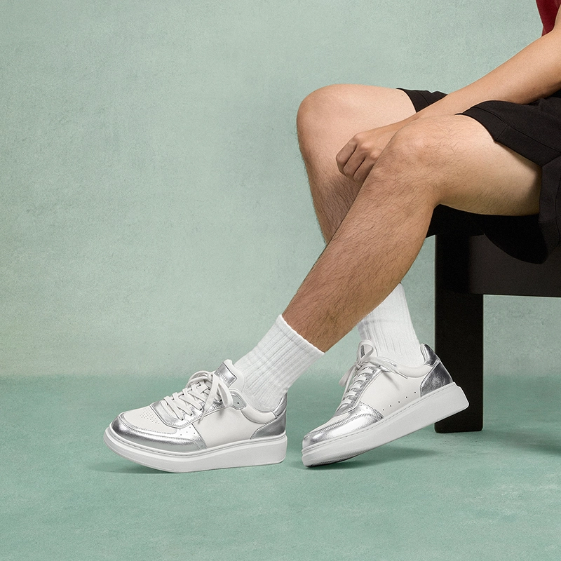 THOM WILLS trainer