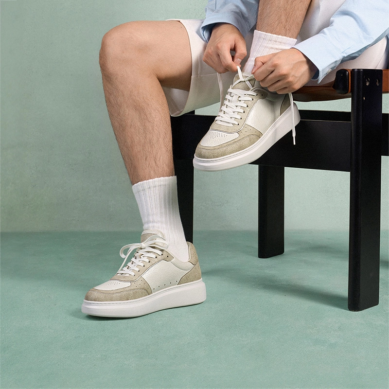 THOM WILLS Trainer