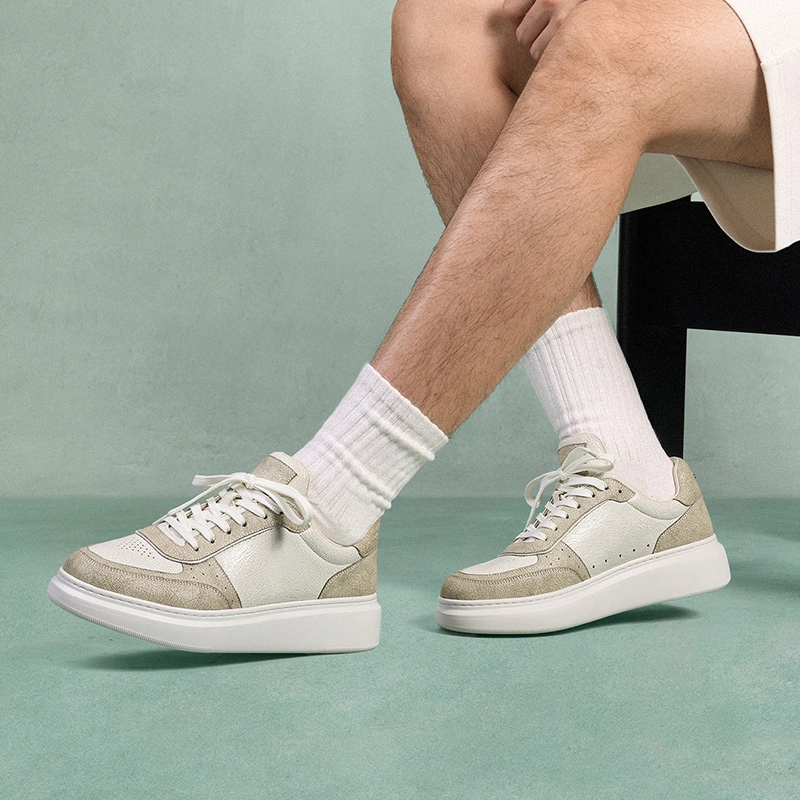 THOM WILLS Trainer