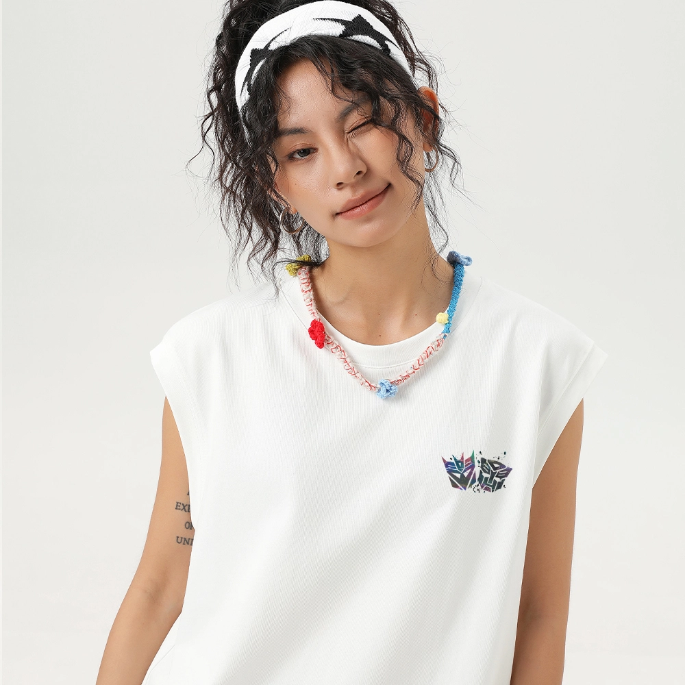 TRANSFORMERS t