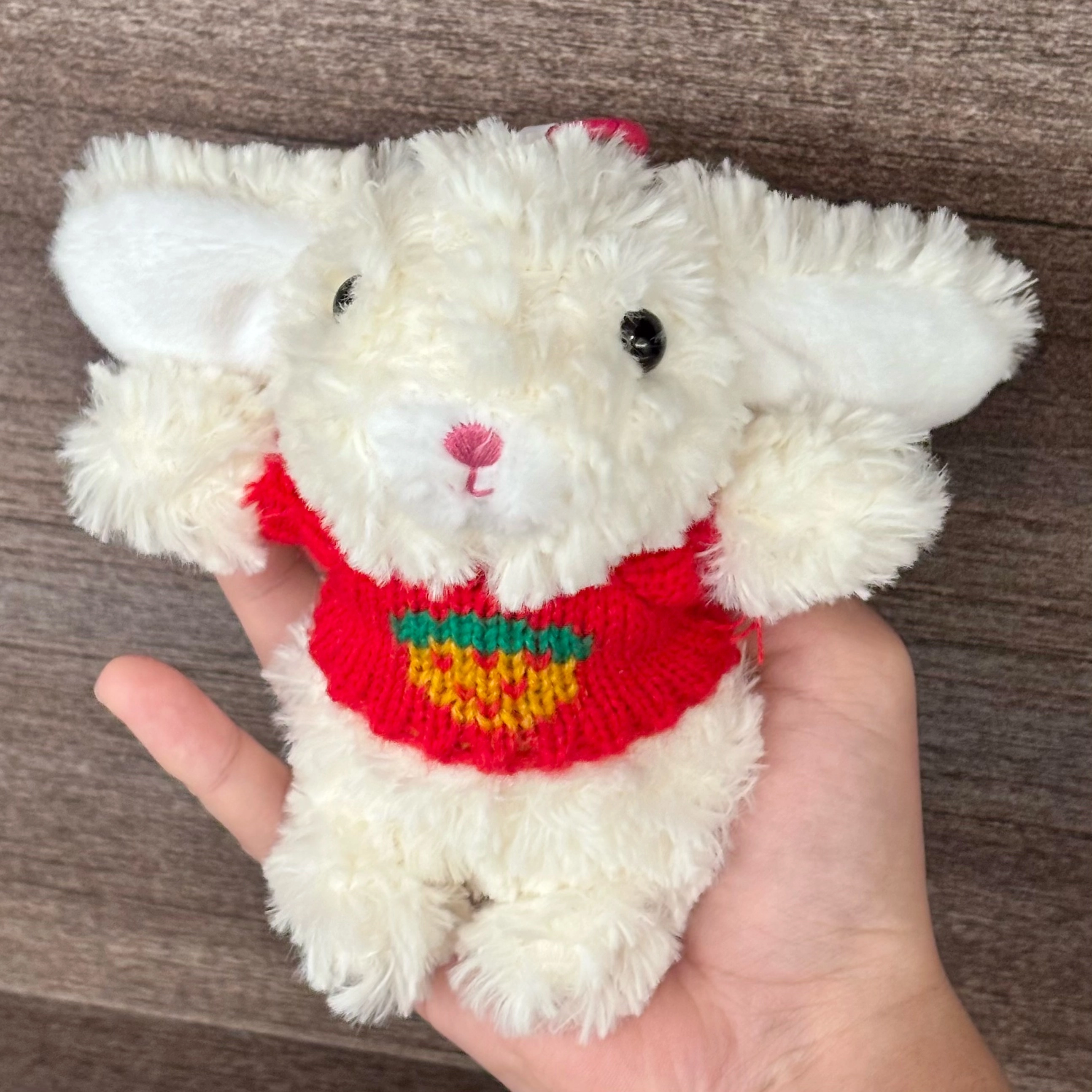 20cm