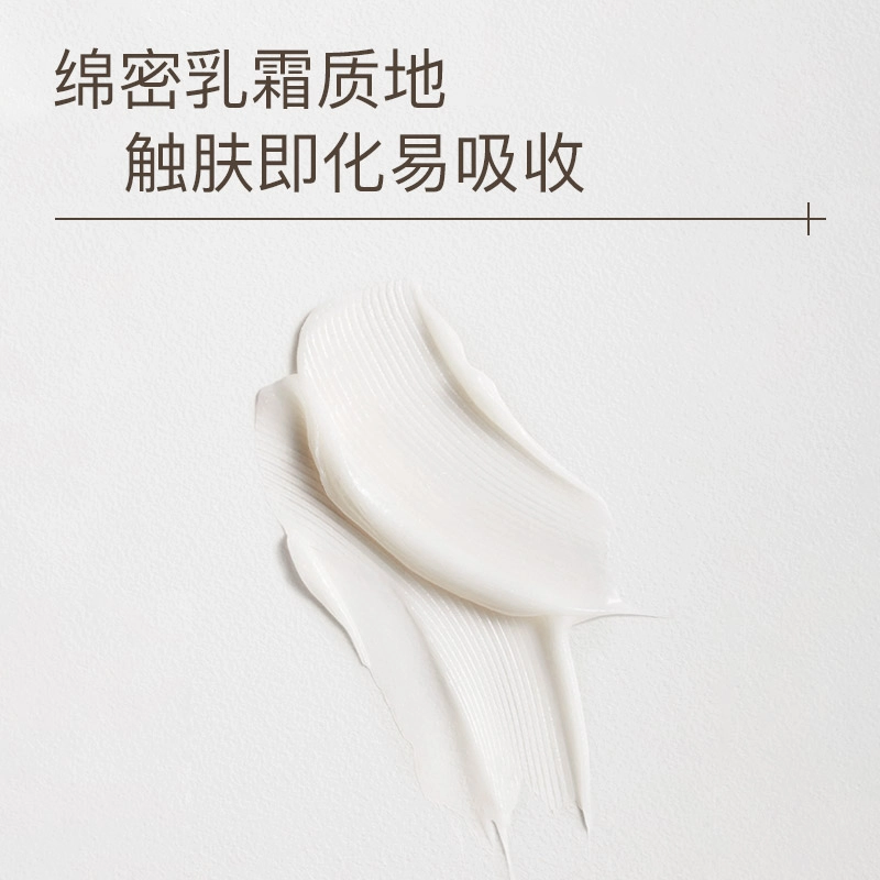 水之蔻 抱抱熊礼盒 滋润小美盒身体乳体验装 保湿补水