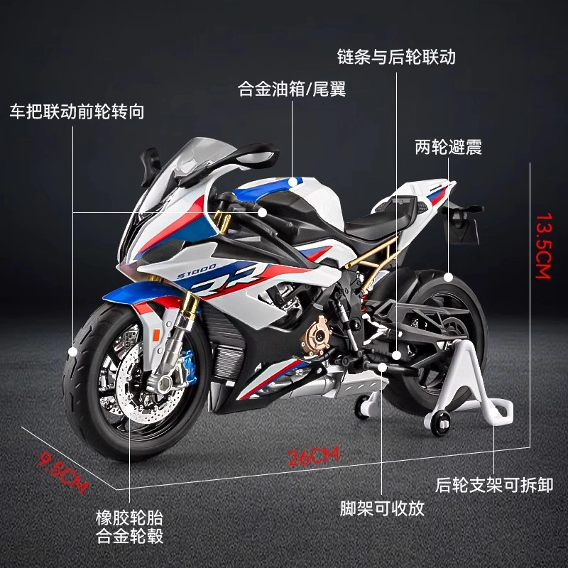 S1000RR 19