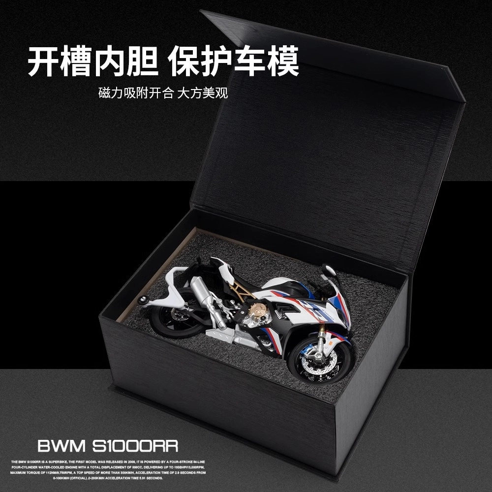 S1000RR 19