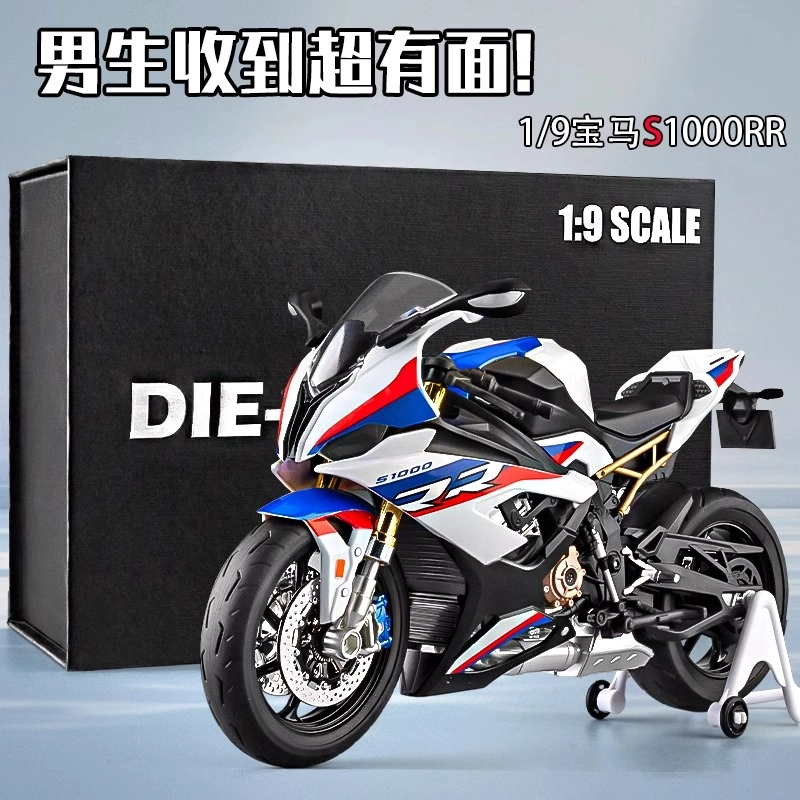 S1000RR 19