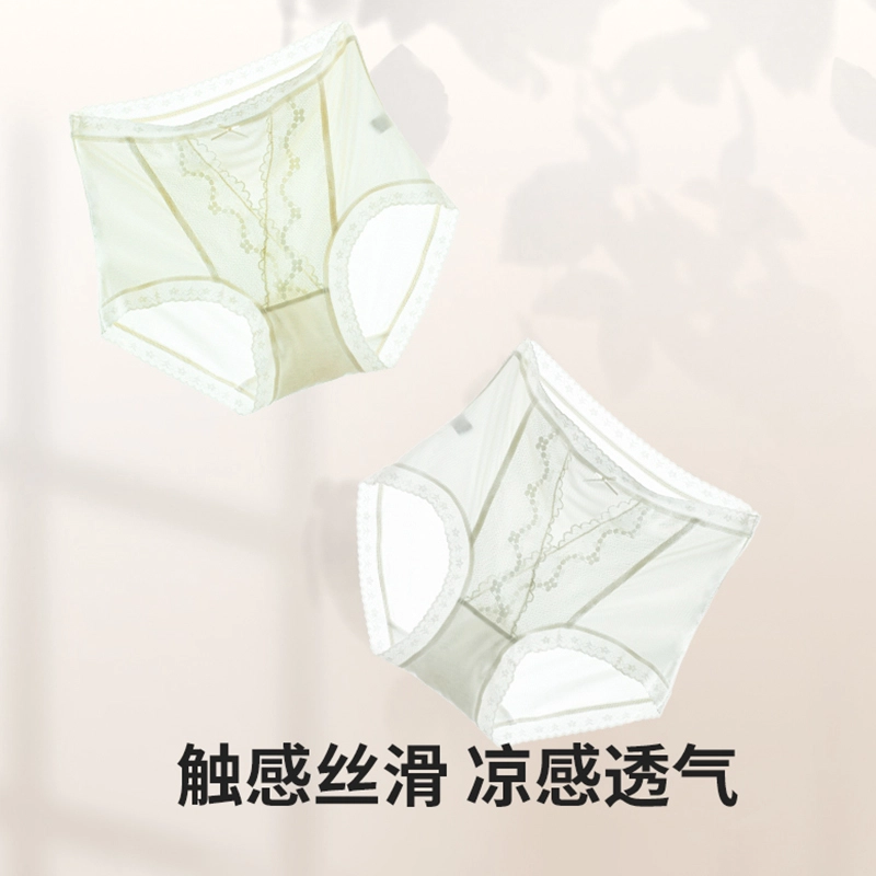 Rich Dragon 10A