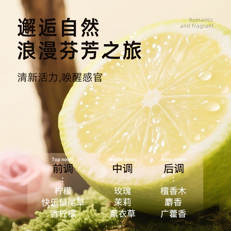 莎贝龙 黑松露臻萃焕靓护发精华油  防毛躁 干枯 修护 持久 留香