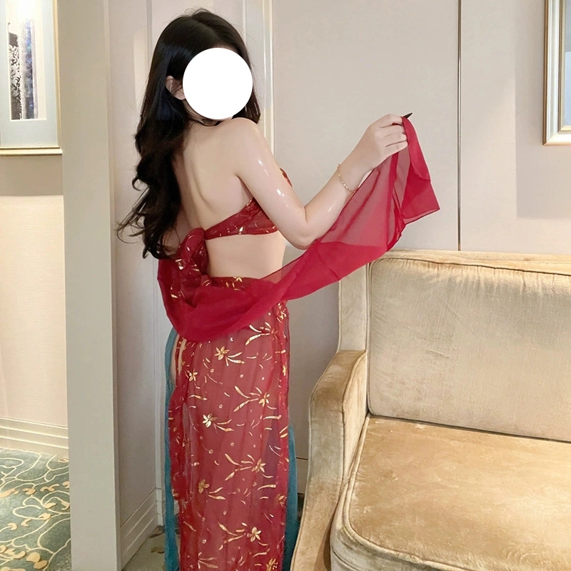 探寻鹿  性感情趣内衣敦煌飞天舞姬异域风情汉服抹胸透视免脱