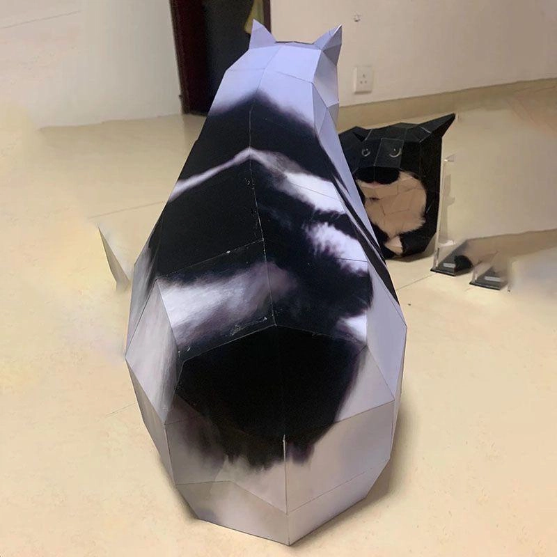 CANEXT 3D