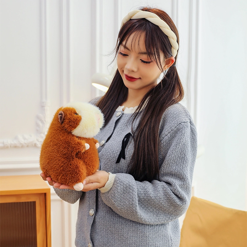 CANEXT 23cm30cm40cm