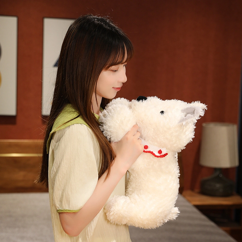 CANEXT 22cm30cm40cm