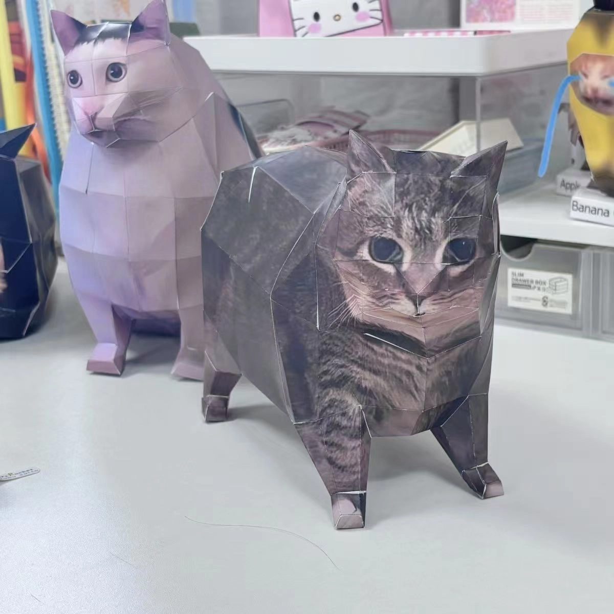 CANEXT 3D