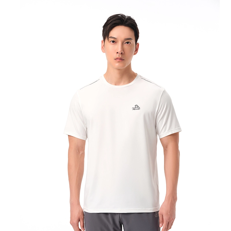 PELLIOT T