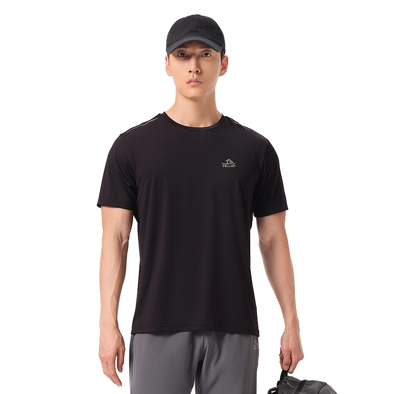 PELLIOT T