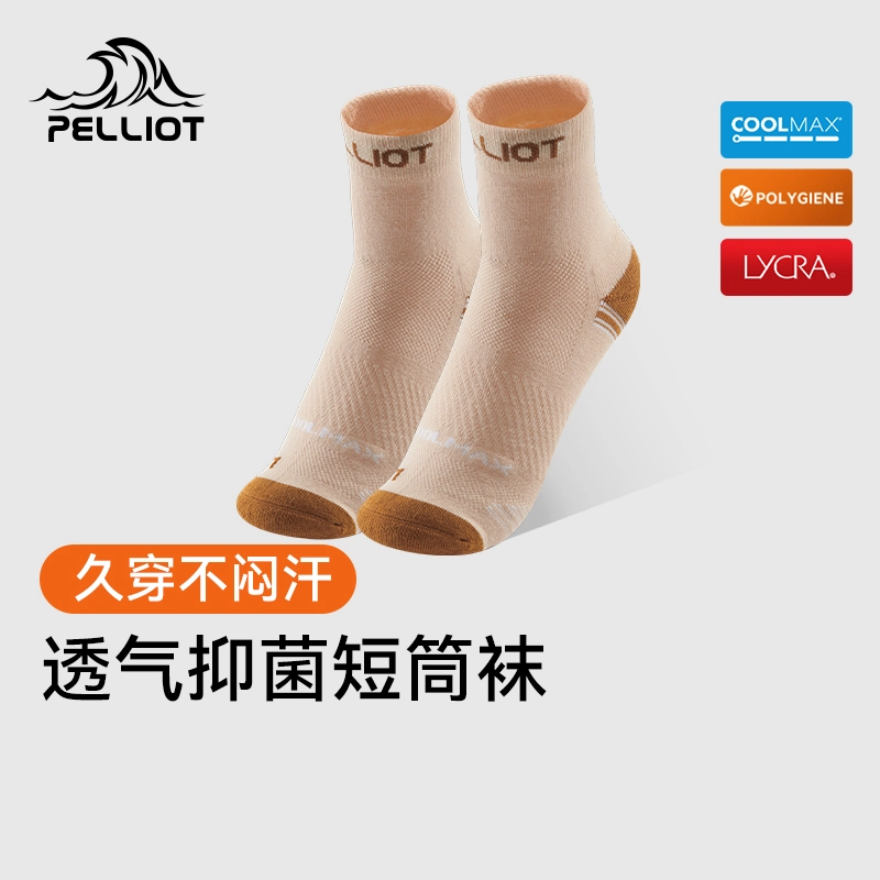 PELLIOT