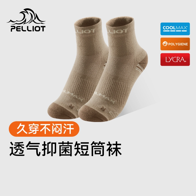 PELLIOT