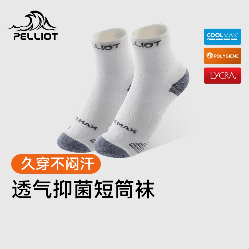 PELLIOT
