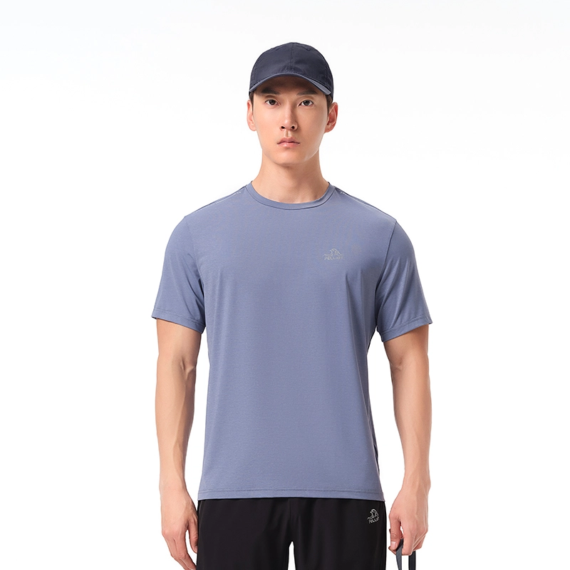 PELLIOT T
